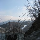 picture-525.jpg