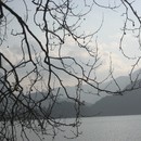 picture-538.jpg
