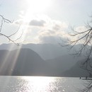 picture-540.jpg