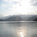 picture-551.jpg