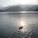 picture-555.jpg