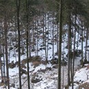 picture-669.jpg